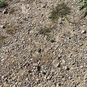 Meet your Posher, Donte